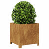 Vidaxl plantenbak 40x40x40 cm weervast staal