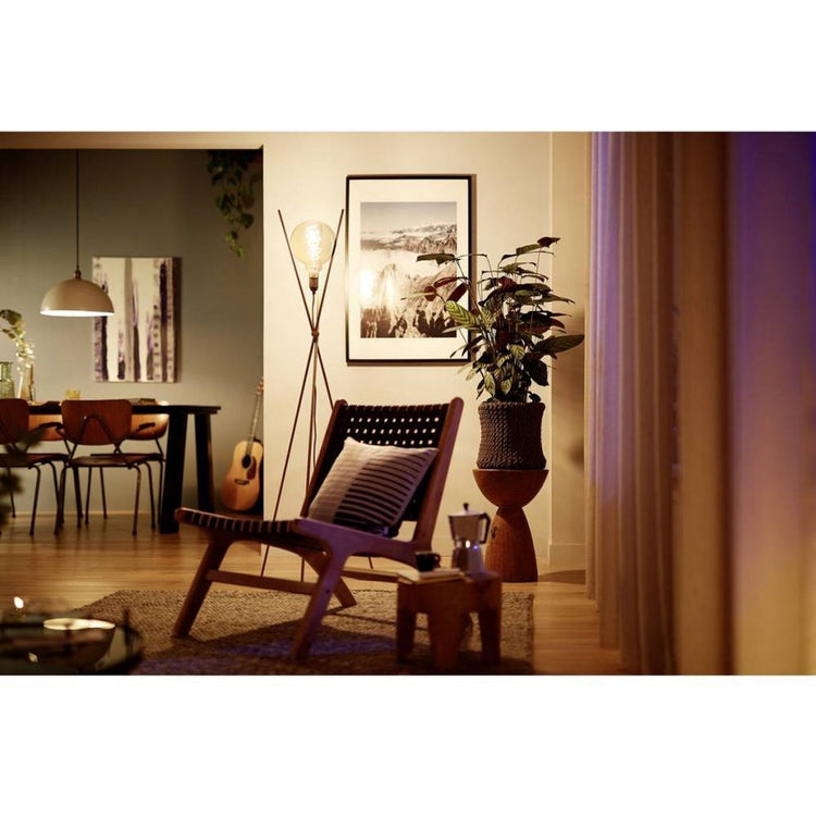 Philips vintage led dimbare globe g95 e27 60w amberkleurig glas
