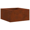 Vidaxl vuurkorf bruin 60 x 60 x 30 cm cortenstaal