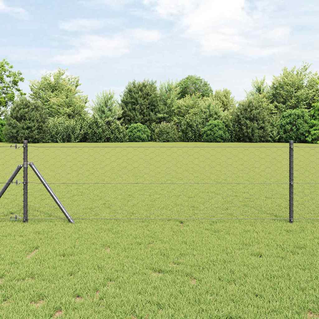 Vidaxl zeshoekig gaashek met grondbevestiging 10 x 0,6 m grijs mesh