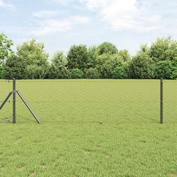 Vidaxl zeshoekig gaashek met grondbevestiging 10 x 0,6 m grijs mesh