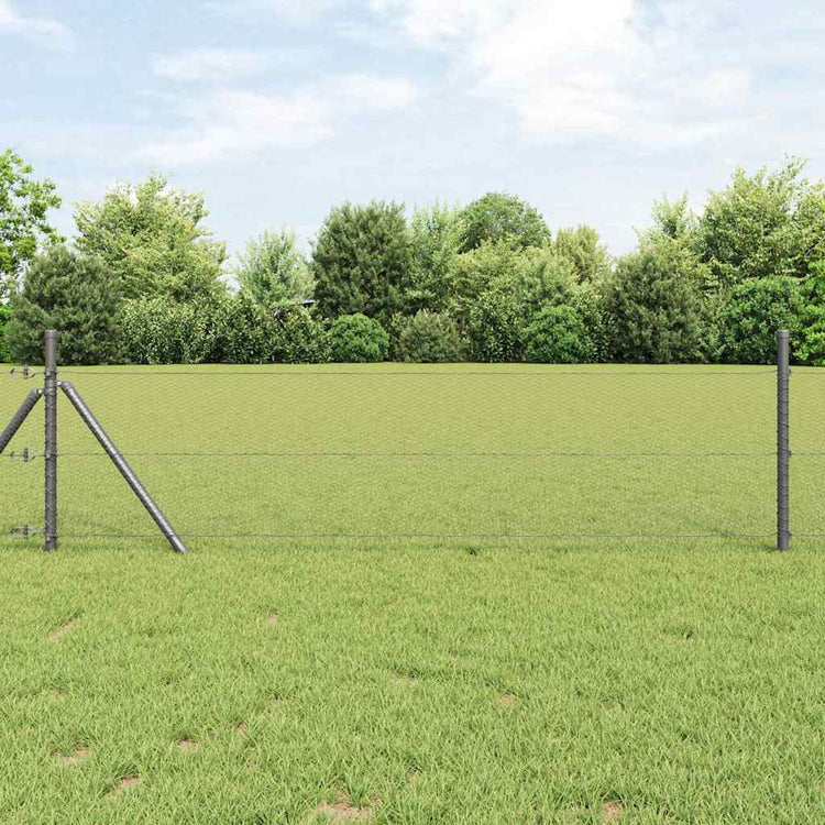 Vidaxl zeshoekig gaashek met grondbevestiging 25 x 0,8 m grijs mesh