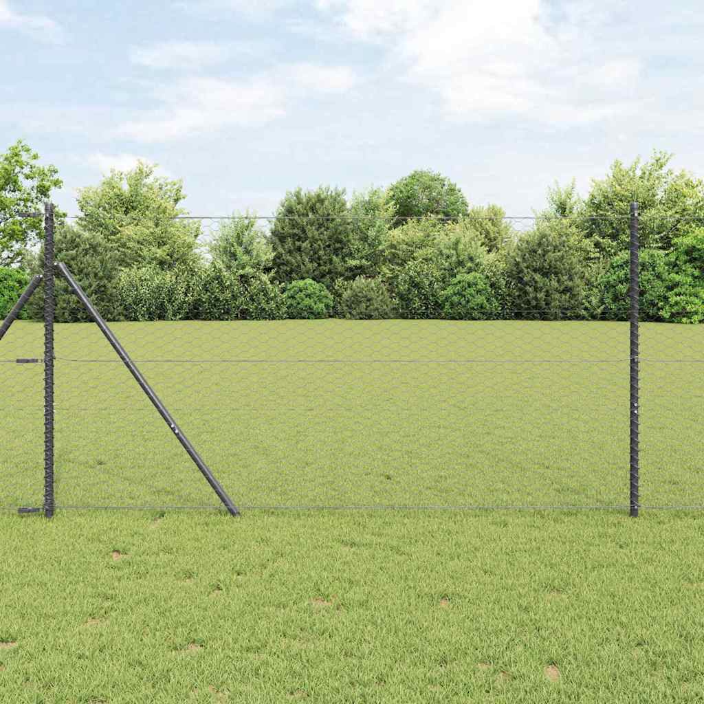Vidaxl zeshoekig gaashek met grondbevestiging 25 x 1 m grijs mesh
