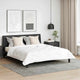Vidaxl hoofdkussen 2 st 40 x 40 cm veren wit