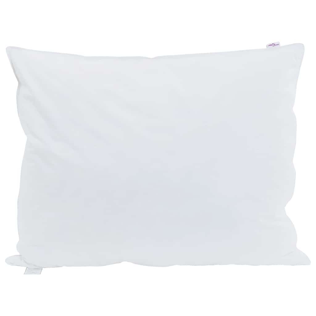 Vidaxl hoofdkussen met kussen 2 pcs wit 40 x 60 cm veren