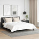 Vidaxl hoofdkussen 2 st 60 x 80 cm veren wit