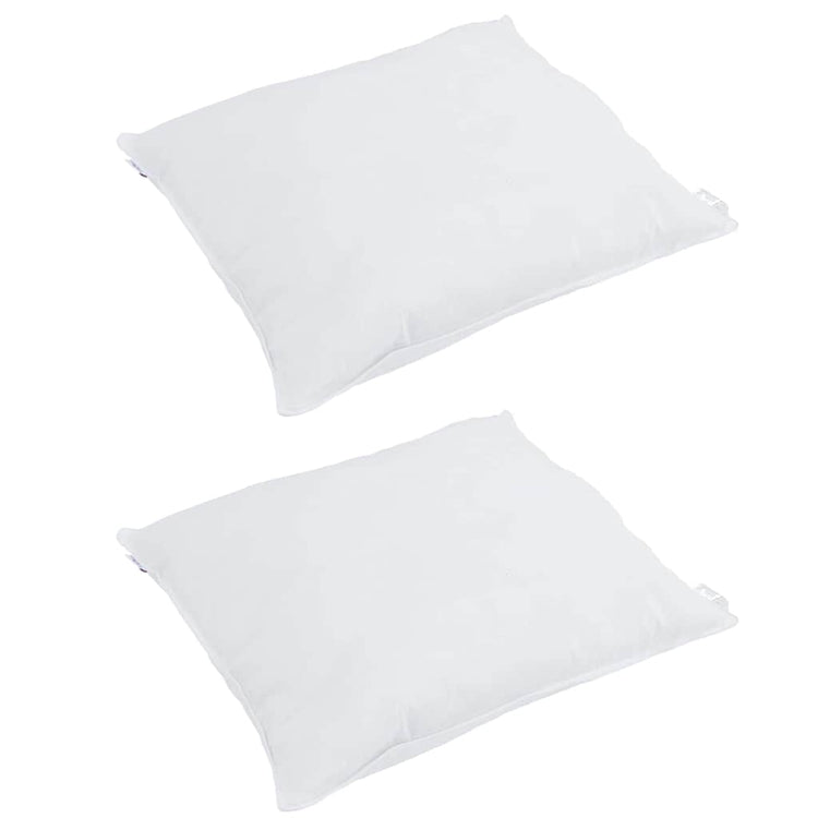 Vidaxl hoofdkussen 2 st 80 x 80 cm veren wit