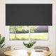 Vidaxl rolgordijn verduisterend 160x150 cm stofbreedte 156,6 cm zwart