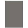 Vidaxl rolgordijn verduisterend 165x210 cm stofbreedte 161,6 cm grijs