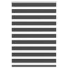 Vidaxl zebra rolgordijn 100x100 cm stofbreedte 95,9 cm zwart