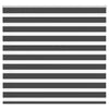 Vidaxl zebra rolgordijn 160x100 cm stofbreedte 155,9 cm zwart