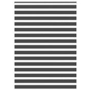 Vidaxl zebra rolgordijn 160x200 cm stofbreedte 155,9 cm zwart - afbeelding 1