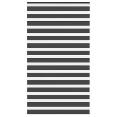 Vidaxl zebra rolgordijn 120x230 cm stofbreedte 115,9 cm zwart