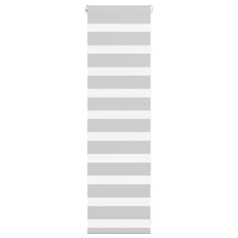 Vidaxl zebra rolgordijn 40x100 cm stofbreedte 35,9 cm lichtgrijs