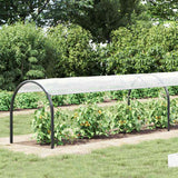 Vidaxl plantenafdekking met zeilringen 1x6 m polyethyleen - afbeelding 1