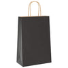 Vidaxl papieren zakken 250 st met hengsels 21x11x31 cm zwart