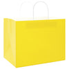 Vidaxl papieren zakken 250 st met hengsels 32x22x24 cm geel