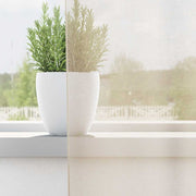 Vidaxl gordijnen voile met doorvoertules 2 st 140x300 cm crème - afbeelding 3