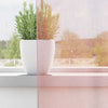 Vidaxl gordijnen voile met doorvoertules 2 st 140x260 cm lichtroze