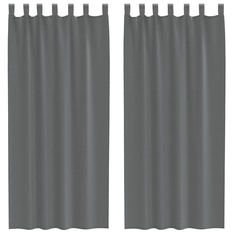 Vidaxl gordijnen voile met lussen 2 st 140x245 cm donkergrijs