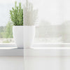 Vidaxl gordijnen met lussen 2 st 140x245 cm wit