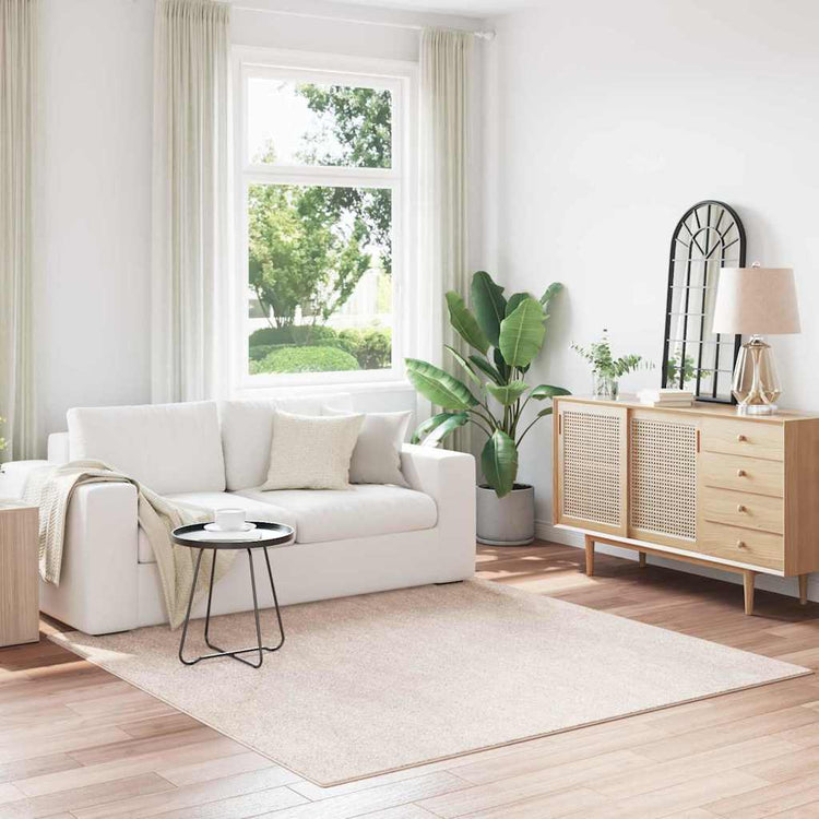Vidaxl antislip shaggy tapijt crèmekleurig 200 x 200 cm pp