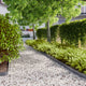 Vidaxl gazonrand 10 st 10 x 103 cm koudgewalst staal antraciet