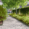 Vidaxl gazonranden 10 st 10x103 cm koudgewalst staal olijfgroen