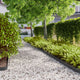 Vidaxl gazonrand 50 st 10 x 103 cm koudgewalst staal zwart