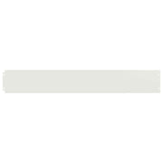Vidaxl gazonranden 10 st 15x103 cm koudgewalst staal wit - afbeelding 3