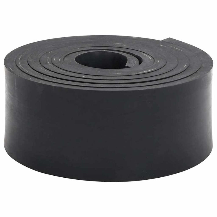 Vidaxl rubberen rand voor sneeuwploeg 250x10x1 cm zwart