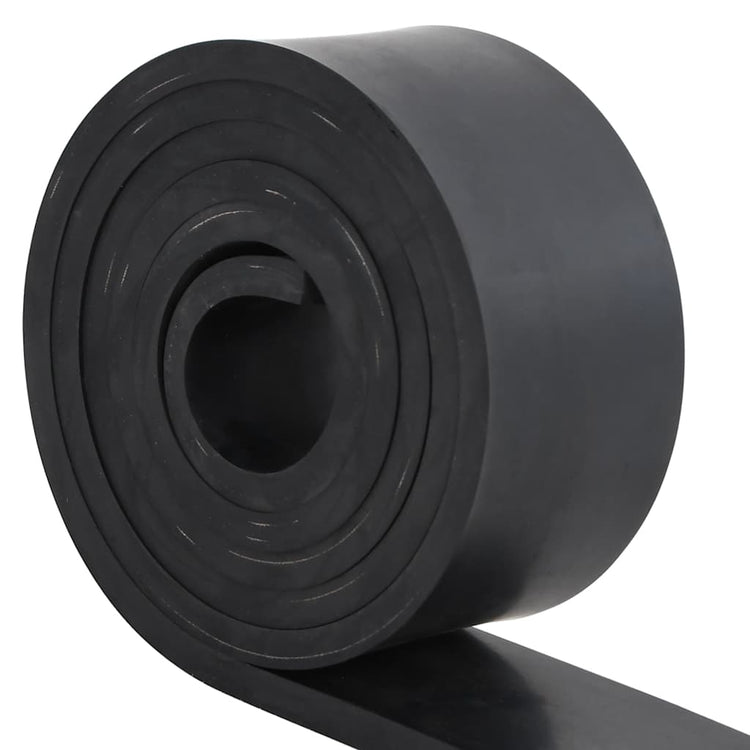 Vidaxl rubberen rand voor sneeuwploeg 250x10x1 cm zwart