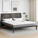 Vidaxl traagschuimmatras topper 200 x 200 cm thick stof-100% polyester