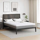 Vidaxl traagschuimmatras topper 160 x 200 cm thick stof-100% polyester