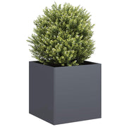 Vidaxl plantenbak 40x40x40 cm koudgewalst staal antracietkleurig - afbeelding 1