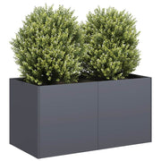 Vidaxl plantenbak 80x40x40 cm koudgewalst staal antracietkleurig - afbeelding 1