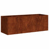 Vidaxl plantenbak roestig 120x40x40 cm weervast staal