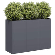 Vidaxl plantenbak 120x40x80 cm koudgewalst staal antracietkleurig - afbeelding 1