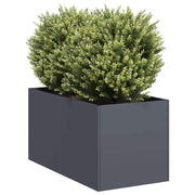 Vidaxl plantenbak 40x80x40 cm koudgewalst staal antracietkleurig - afbeelding 1