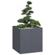 Vidaxl plantenbak 80x80x80 cm staal antracietkleurig