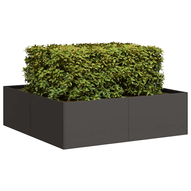 Vidaxl plantenbak 100x100x30 cm staal zwart