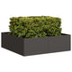 Vidaxl plantenbak 100x100x30 cm staal zwart