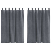 Vidaxl gordijnen 2 st lichtgrijs 140 x 140 cm fluweel - afbeelding 2