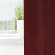 Vidaxl gordijnen 2 st wijnrood 140 x 175 cm fluweel - afbeelding 3