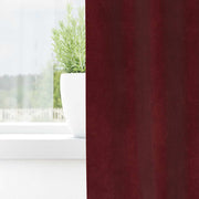 Vidaxl gordijnen 2 st wijnrood 140 x 245 cm fluweel - afbeelding 3