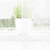 Vidaxl kantgordijn met gordijnen bloemen wit 240 x 300 cm polyester