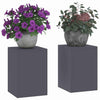 Vidaxl plantenstandaard 2 pcs antraciet 24 x 24 x 35 cm staal