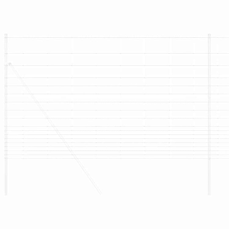 Vidaxl wilde hek warm verzinkt 1000 x 150 x 0,18 cm ijzer