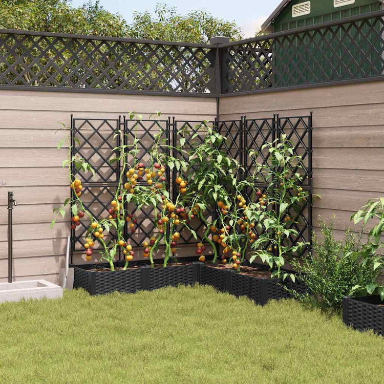 Vidaxl plantenbak 5 st zwart 120 x 120 x 125,5 cm pp