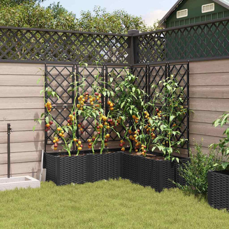 Vidaxl plantenbak 5 st zwart 120 x 120 x 143 cm pp